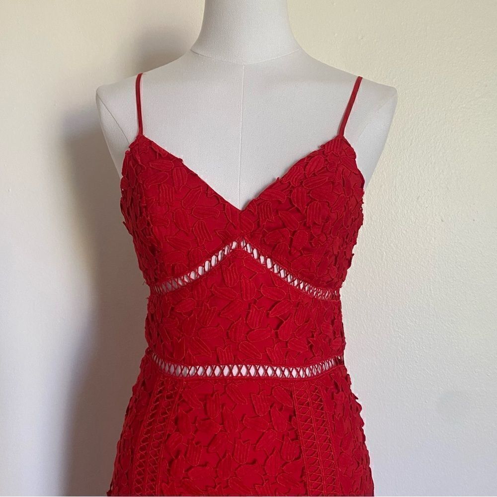 Bardot Red Roxy Leaf Lace Dress Size 4 - Picture 6 of 16
